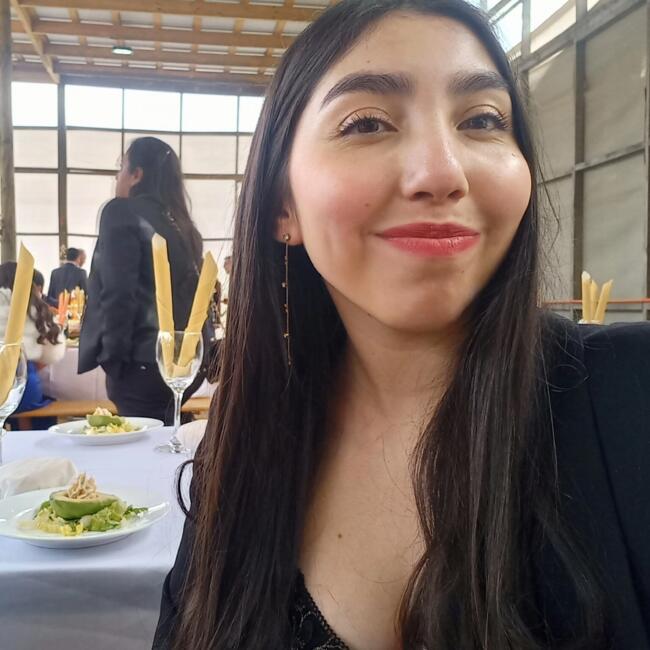 Babysitter in Santiago: Rocio