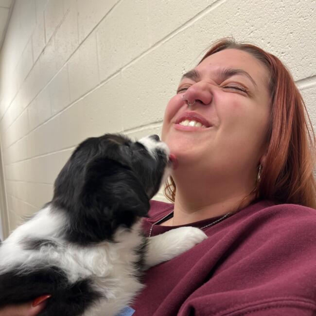 Babysitter in Danbury: Tatum