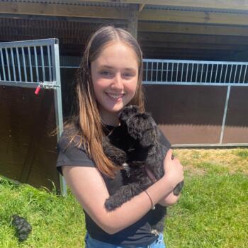 Babysitter in Ashburton: Charlee