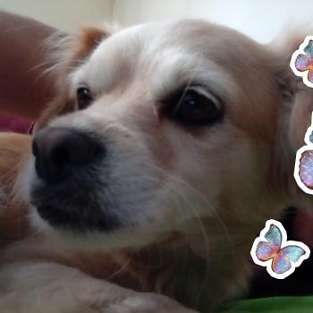 Babysitter in San Juan (Lima): Leslie