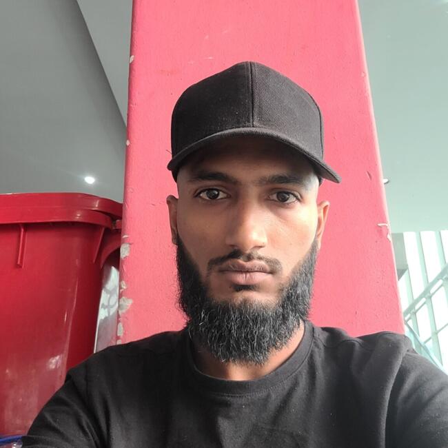 Babysitter in Linbro Park: Raeez