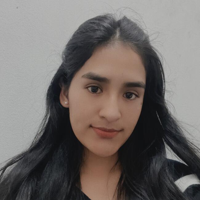 Niñera en San Juan de Lurigancho: Gleny