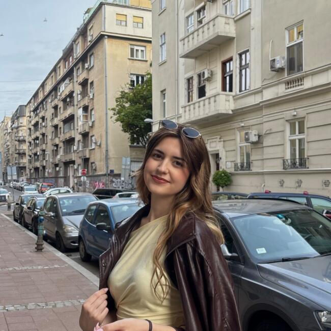 Babysitter in Surčin: Ljubica