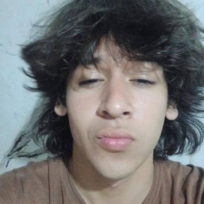 Babysitter in Bogotá: Bryan