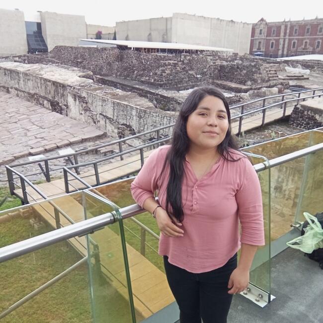 Niñera en Naucalpan de Juárez: Anayeli