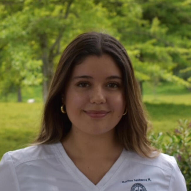 Niñera en Santiago de Chile: Martina