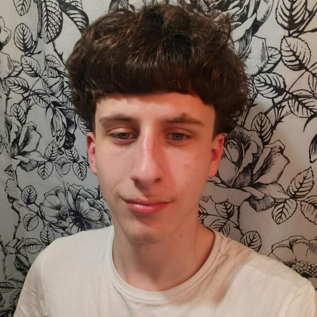 Babysitter in Joué-lès-Tours: Markus berthon