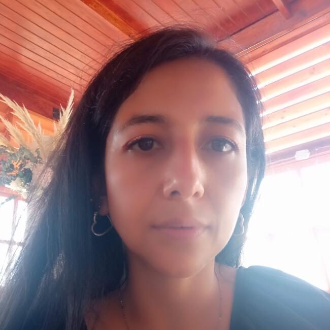 Babysitter in Iquique: Vanessa