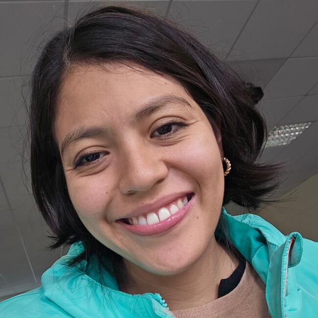 Nanny in Dublin: Fer