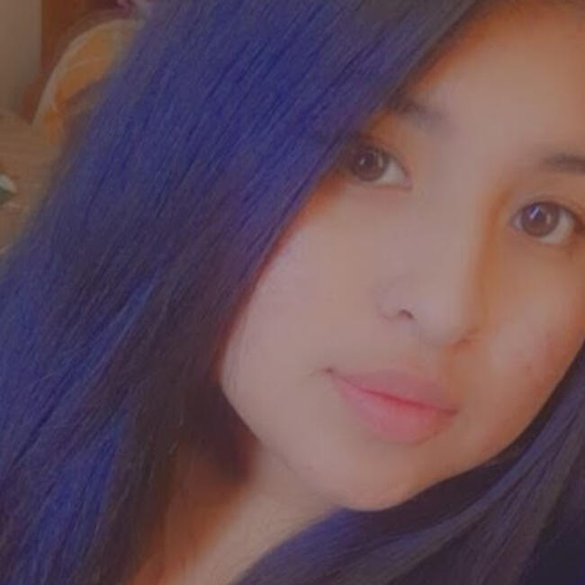 Babysitter in San Juan de Lurigancho: ALDANA BRIGID