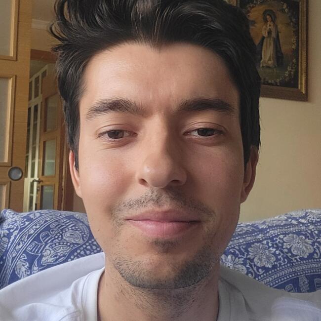 Babysitter in Málaga: Fernando