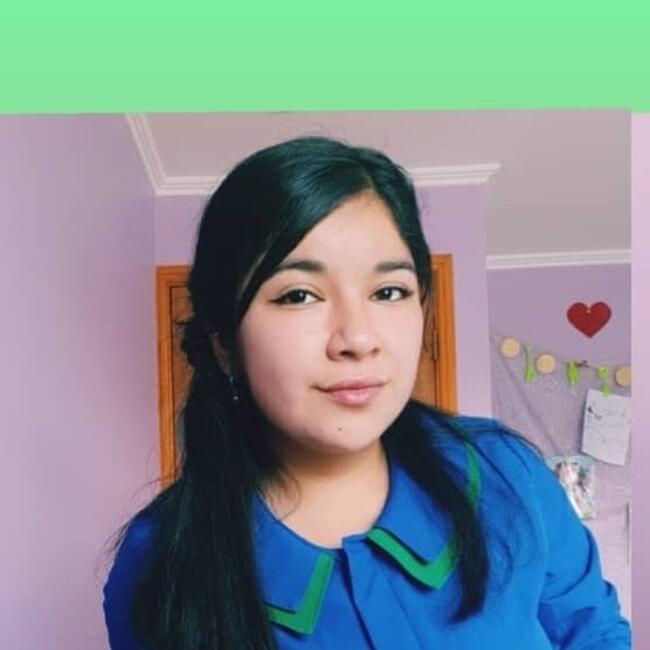 Niñera en Temuco: Javiera
