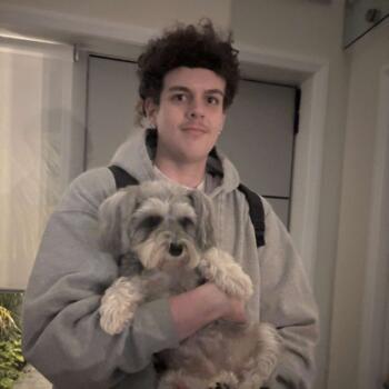 Babysitter in Auckland: Cooper