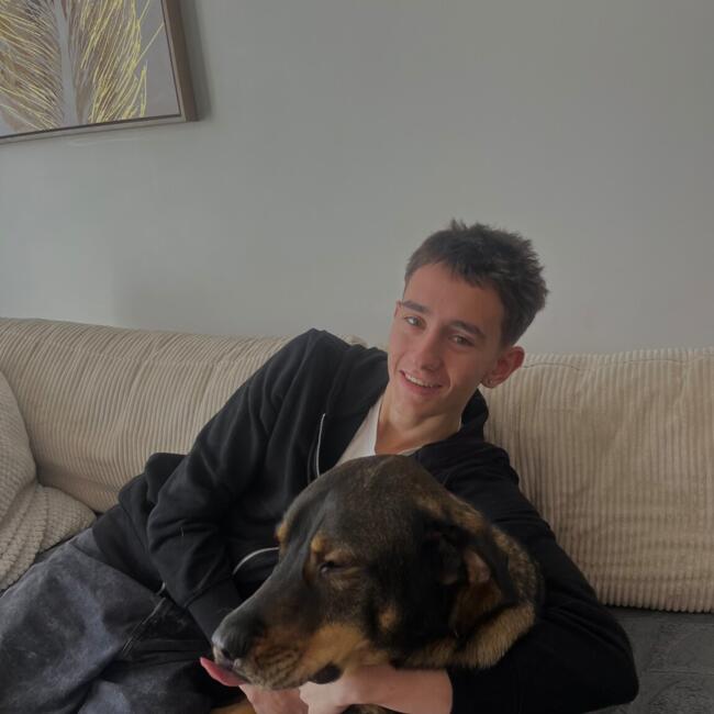 Babysitter in Rumilly: Alan