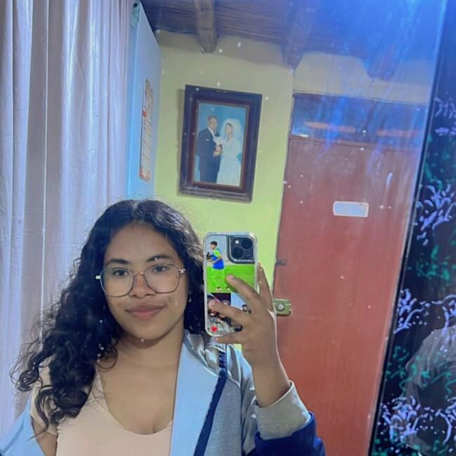 Niñera en El Carmen (Provincia de Chincha): Minerva melchorita