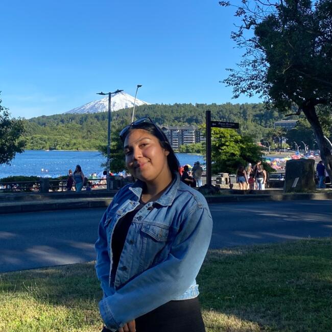 Niñera en Padre Las Casas: Valesca