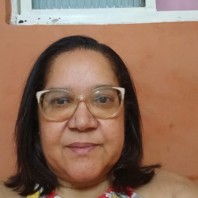 Babá em Mesquita: Josilene