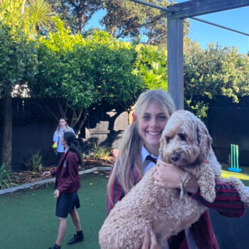 Babysitter in Wellington: Cleo