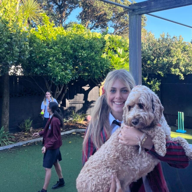 Babysitter in Wellington: Cleo