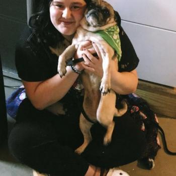 Babysitter in Homer (Georgia): Maddy