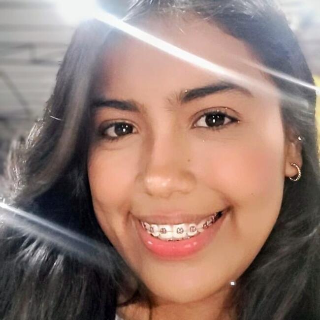 Niñera en Los Patios: Liseth