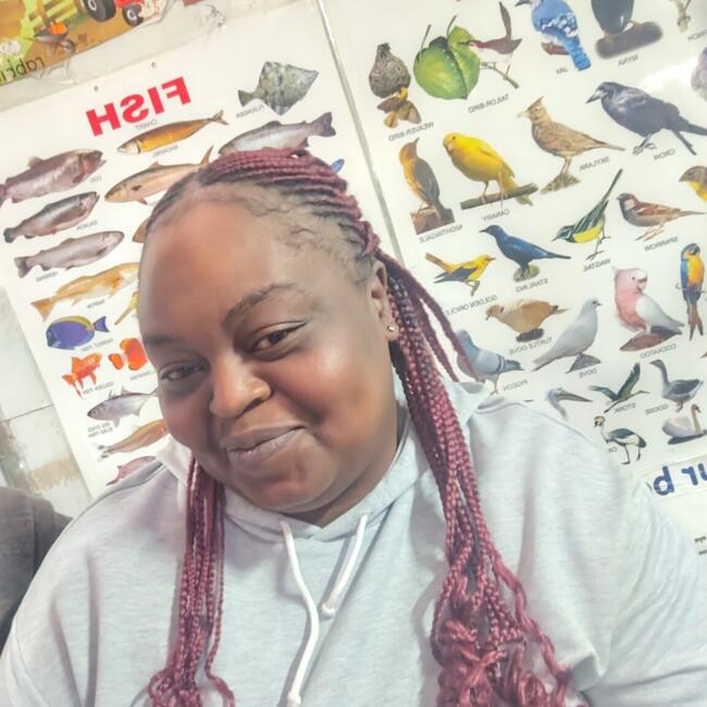 Babysitter in Milnerton: Charlen