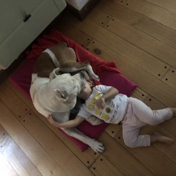 Babysitting job in Buenos Aires: babysitting job Andres