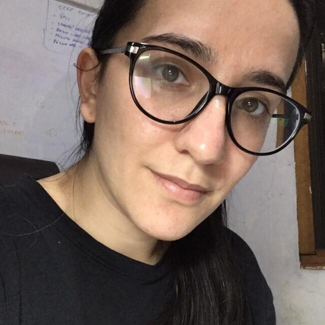 Babysitting job in Valparaíso: Francisca