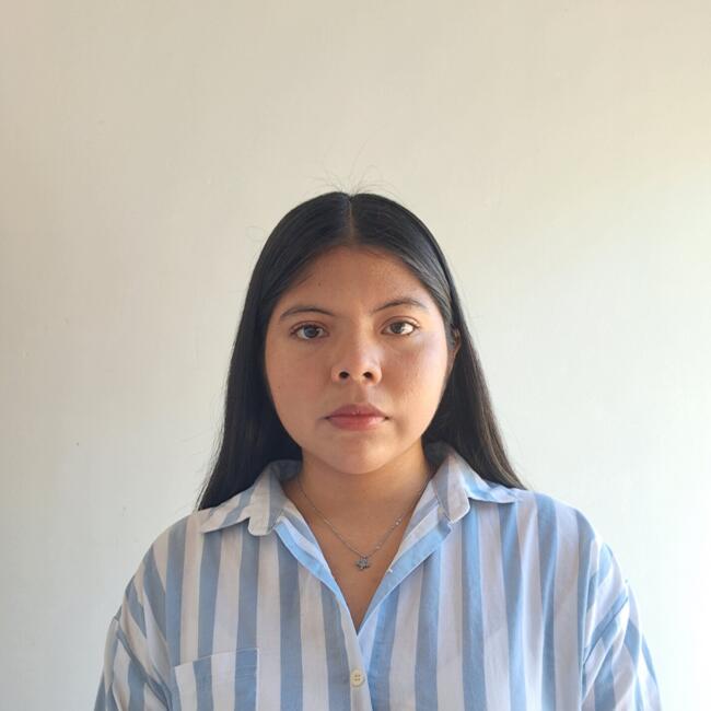 Babysitter in Calama: Vianca