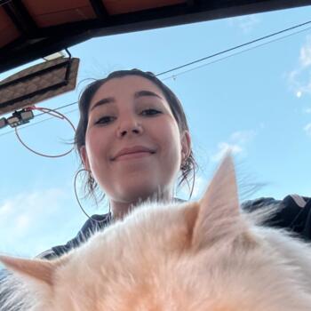 Babysitter in Manzanares: Laura