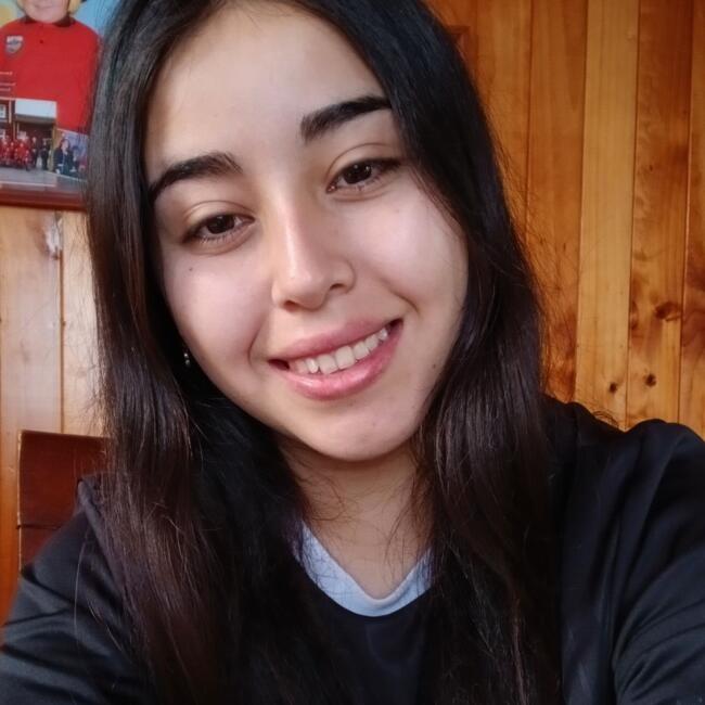 Babysitter in Port Montt: Carolina