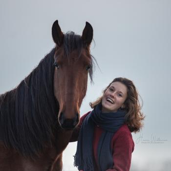 Baby-sitter Brasschaat: Aster