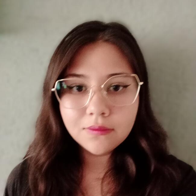 Niñera en Aguascalientes: Allison