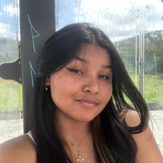 Babysitter in Blumenau: Ana clara