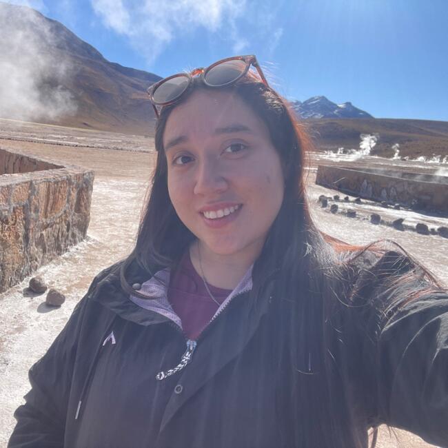 Babysitter in Antofagasta: Arlyn Araya