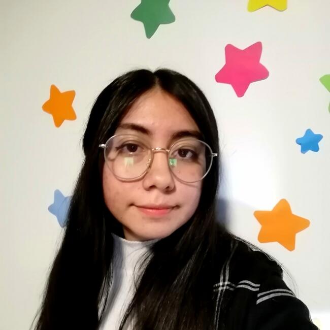 Babysitter in Santiago: Francheska Troncoso