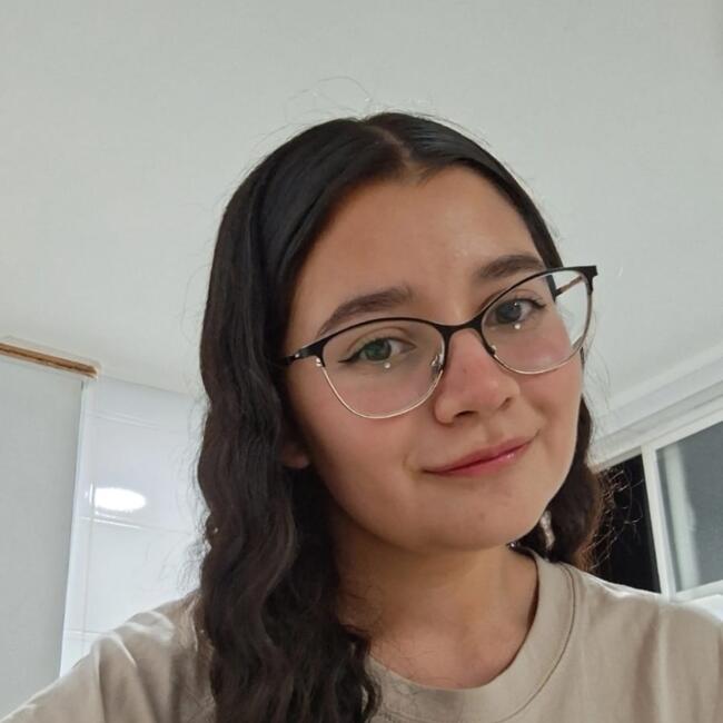 Babysitter in Puente Alto: Francisca