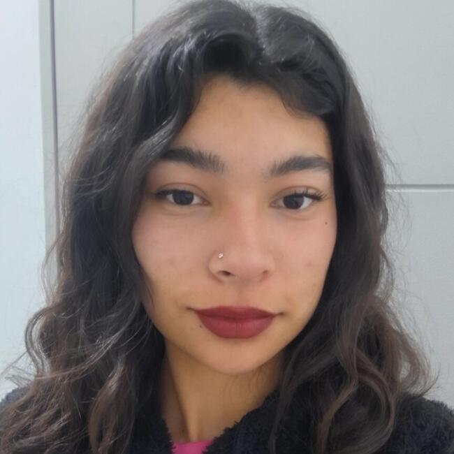 Babysitter in Copiapó: Alyson