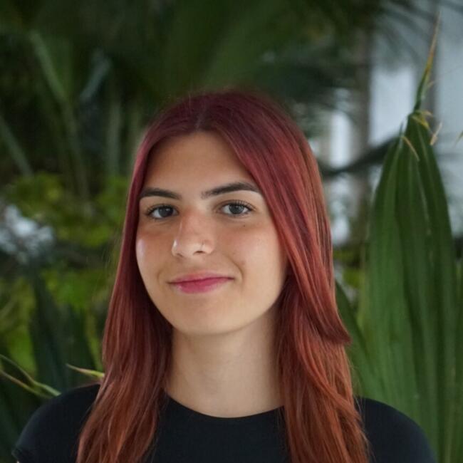 Babysitter em Leiria: Érica