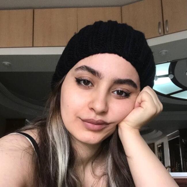 Babysitter in Avcılar (İstanbul): Shervin