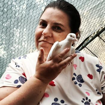 Babysitter in Épône: Julie