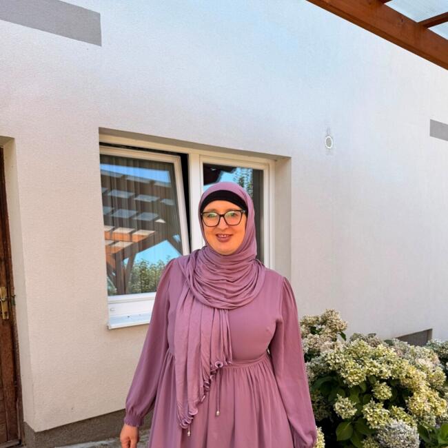 Babysitter in Ilidža: Zinajda