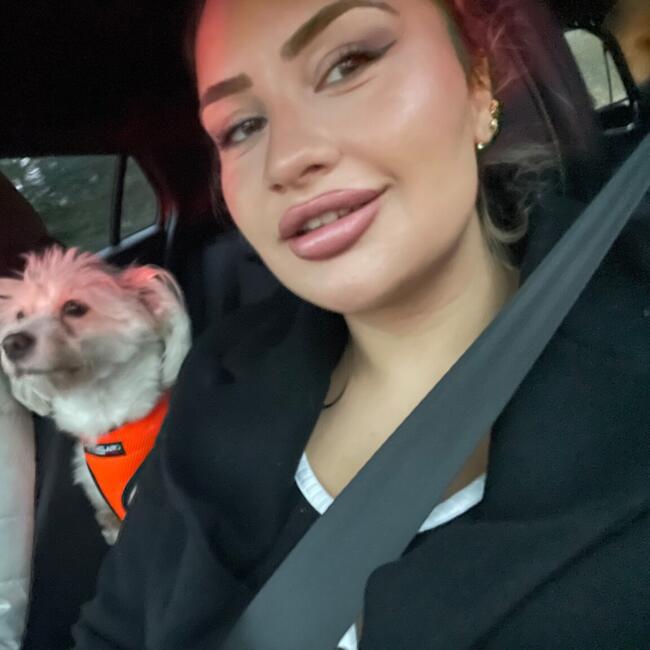 Babysitter in Banbury: Deniz