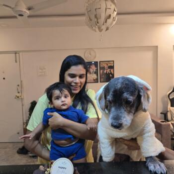 बम्बई में बेबीसिटिंग की नौकरी: बेबीसिटिंग से जुड़े काम Joannes