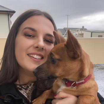 Babysitter in Tralee: Caoimhe Ringland