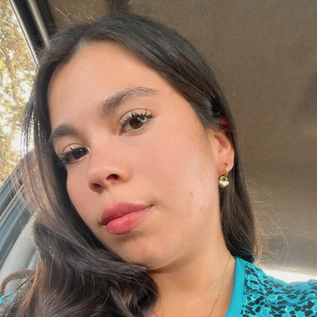 Babysitter in Los Ángeles: Romy