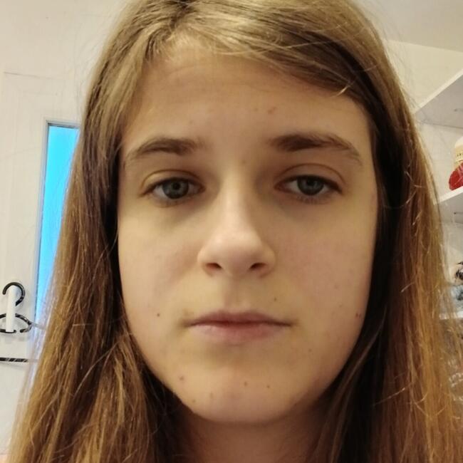 Babysitter in Brie-Comte-Robert: Ambre