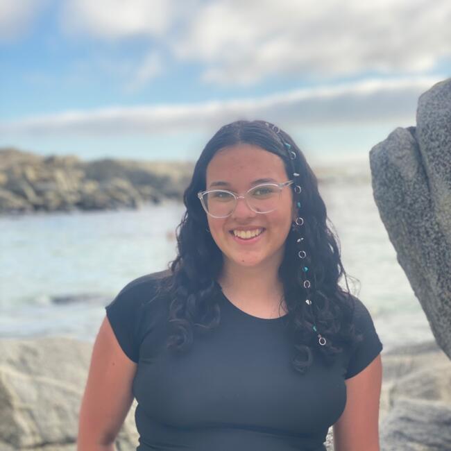 Babysitter in Temuco: Trinidad