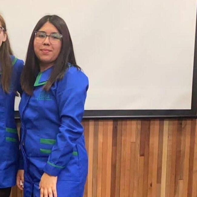 Niñera en Peñalolén: Rosa