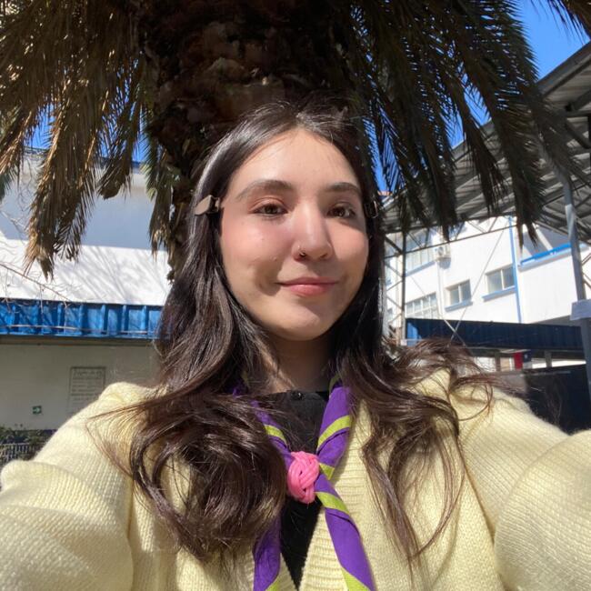 Babysitter in La Florida: VALENTINA ANDREA